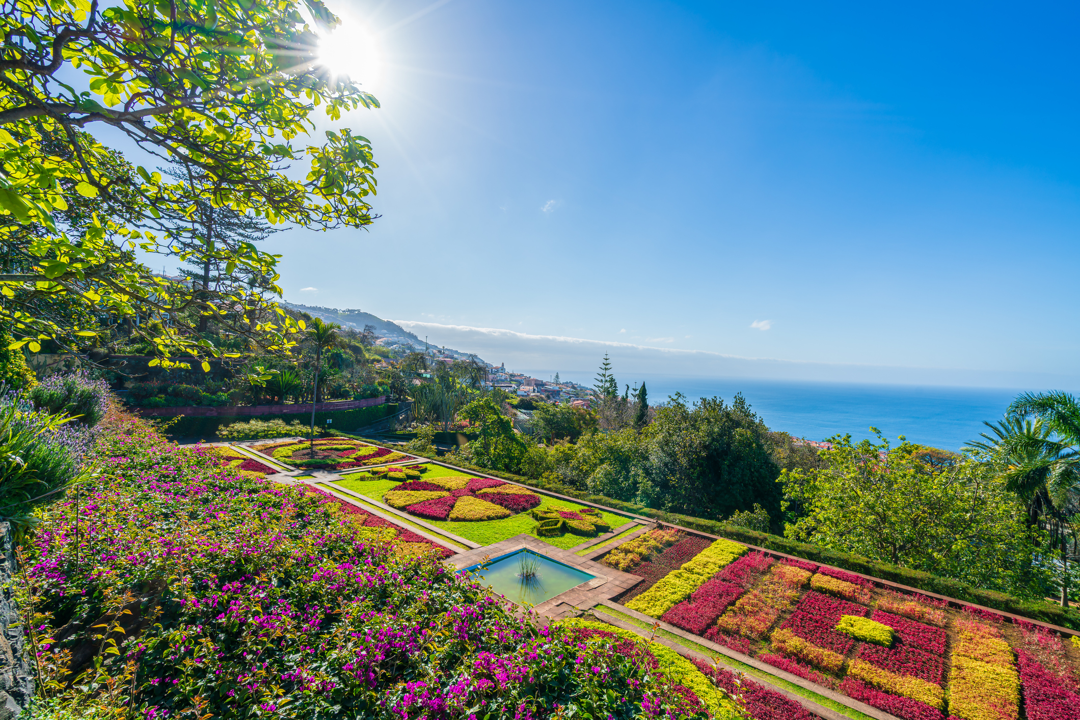 Prachtig panoramisch uitzicht op de Botanische Tuinen in Funchal, Madeira, met kleurrijke bloemenpatronen, weelderig groen en uitzicht op de oceaan, perfect voor een winterzonvakantie.