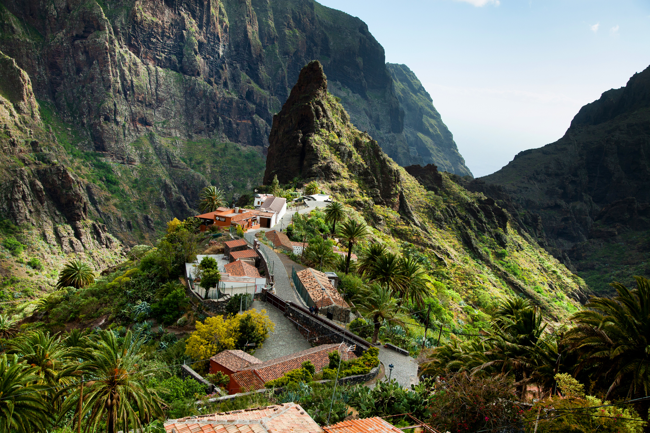 Een foto van een prachtig landschap van de natuur van het eiland Tenerife, Spanje, in de Atlantische Oceaan, met de indrukwekkende Masca-vallei. Zeker een plek die je niet wilt missen.