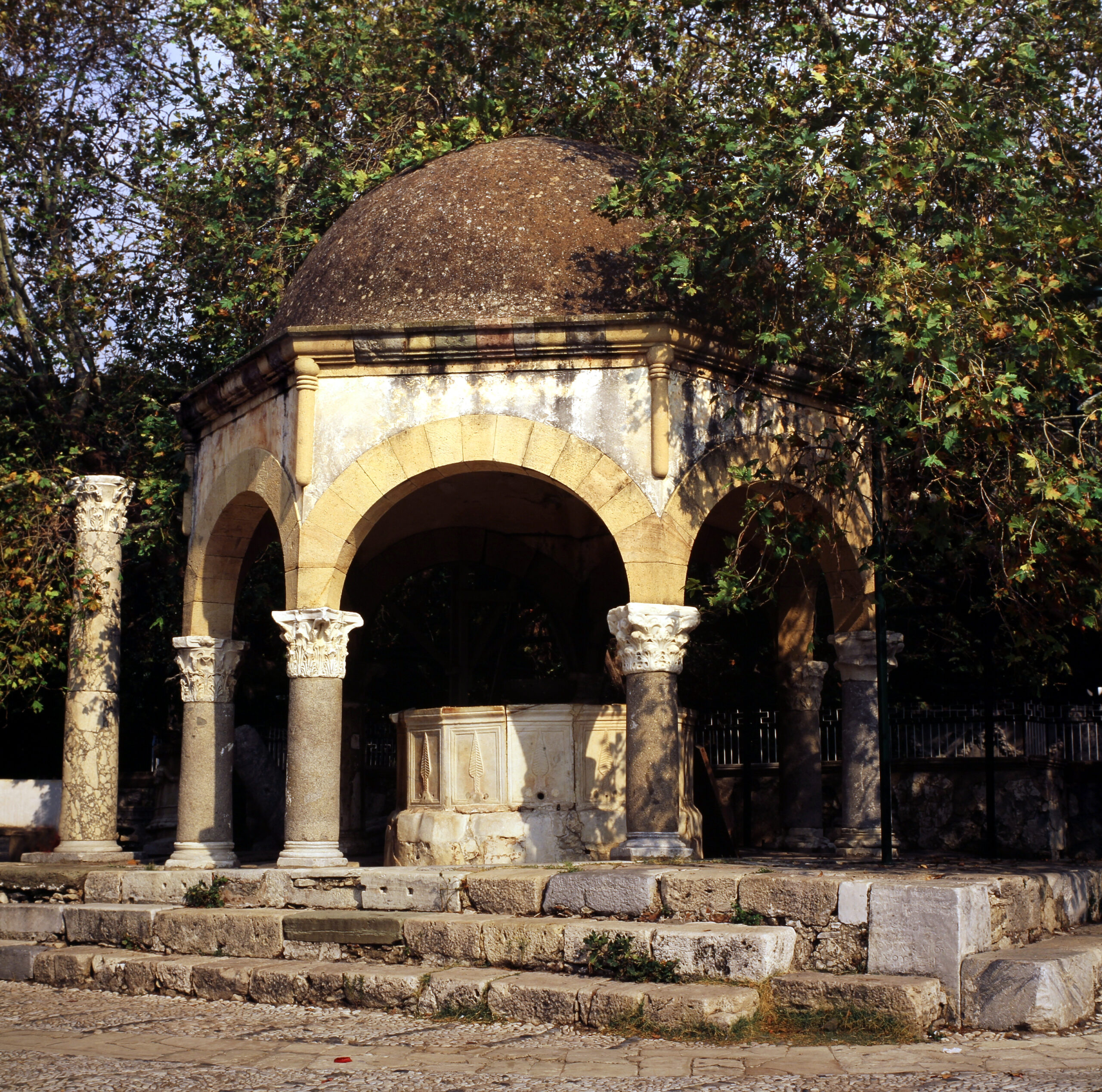 Plataan van Hippocrates in Kos