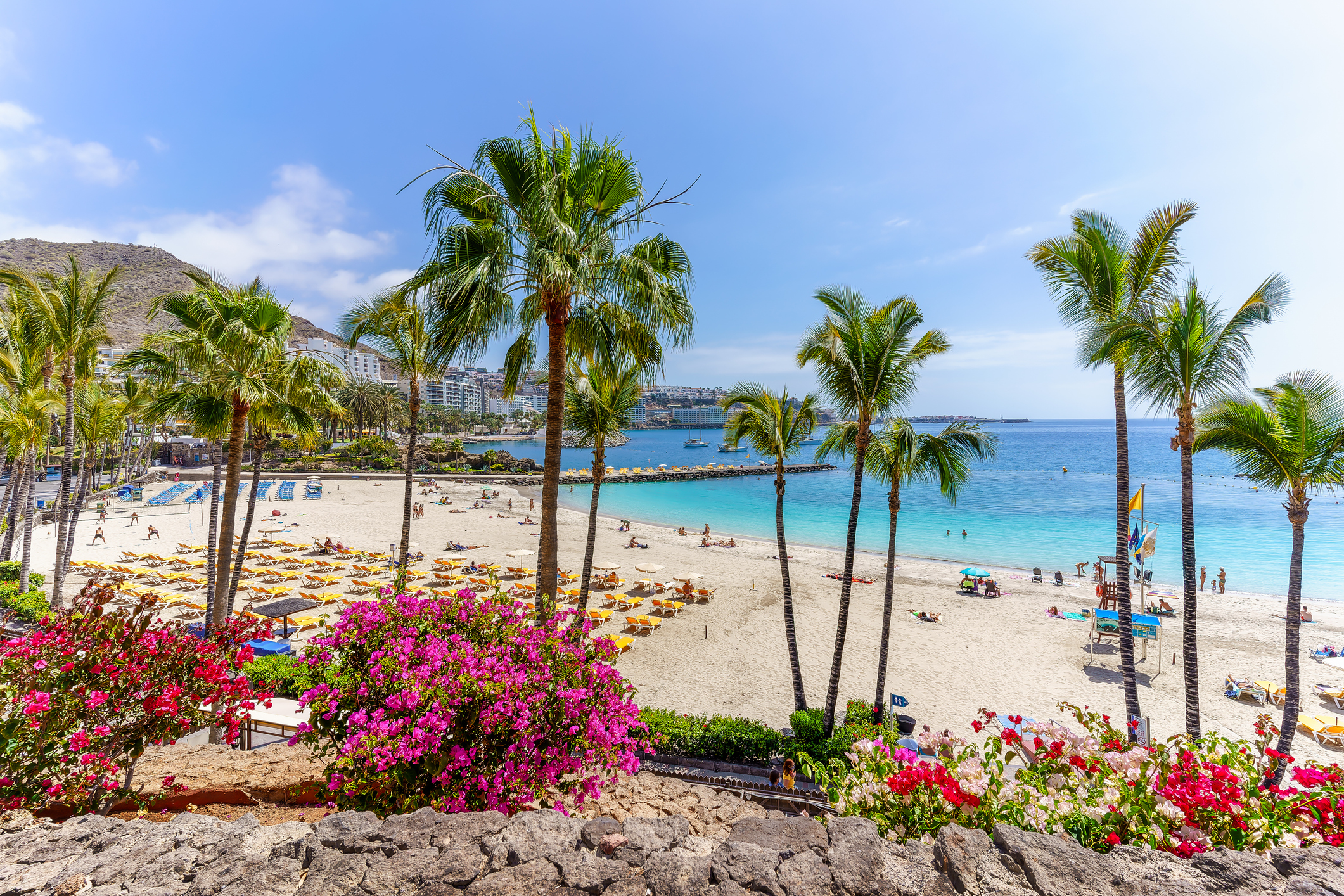 Uitzicht op Anfi Beach in Gran Canaria met palmbomen en bloemen. Behoort tot top 3 eilanden.