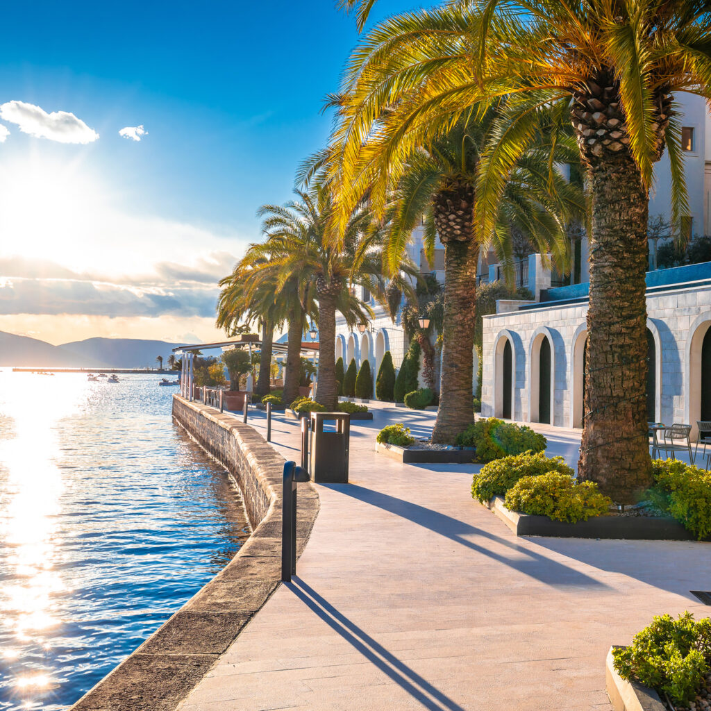 Luxe kustlijn tivat met palmbomen